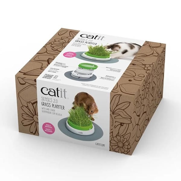 Katteurt - CAT IT - Senses 2.0 - Grøn - Indendørs - Lille