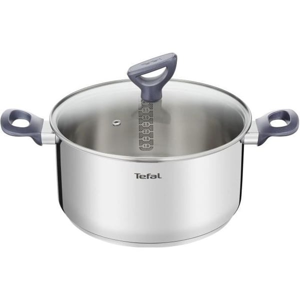 TEFAL Faitout Dailycook i rostfritt stål - Ø 24 cm - 5 l - Med glaslock - Alla typer av spisar inklusive induktion