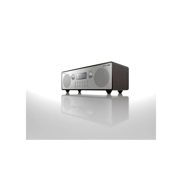 Panasonic Radio DAB/FM RF-D100BTEGT 10W Bluetooth Equalizer 5 Forudinstillinger Bass Reflex LCD Strøm/Batterier Fransk Version