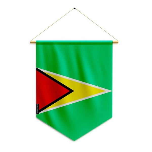Fanion – Flagga från Guyana – 30 x 45 cm – Polyester – Att Hänga – Pixelforma