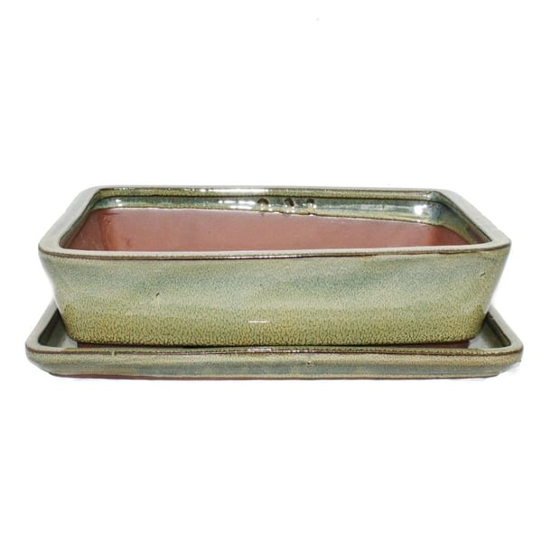 bonsai skål med fat storlek 4 - rektangulär g30 - olivbrun - l 25cm - b 19cm - h 6,5cm