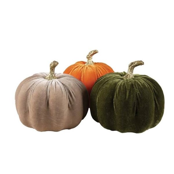 Guldpumpa och sammet - slumpmässig färg - 16cm