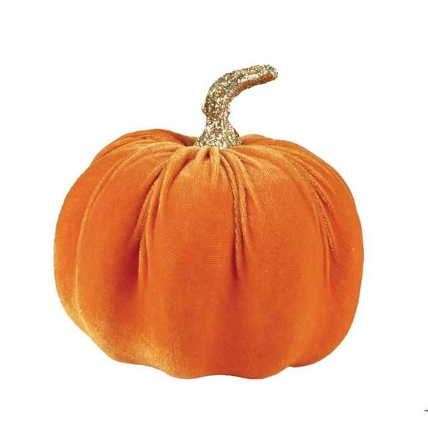 Guldpumpa och sammet - slumpmässig färg - 16cm