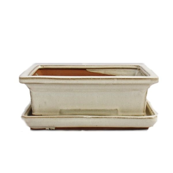 bol bonsai med fat storlek 3 - ljusbeige - fyrkantig - modell g29 - l 18cm - b 13cm - h 6cm