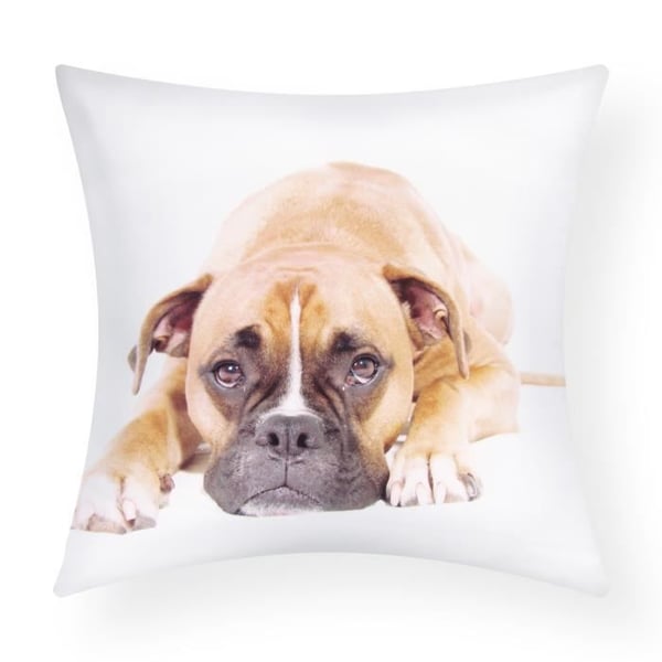 Kuddöverdrag - AVIZAR - Paket om 2 - 40x40 cm - Boxerhundsmönster - Syntetisk