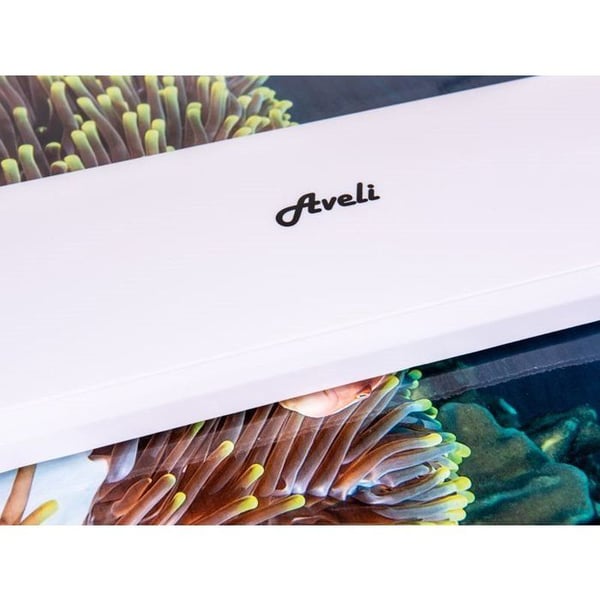 AVELI PLUS A3