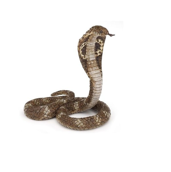 Royal Cobra Figurine - PAPO - LA VIE SAUVAGE - Blandat - Från 3 år Royal Cobra Figurine - PAPO - LA VIE SAUVAGE - Blandat - Från 3 år