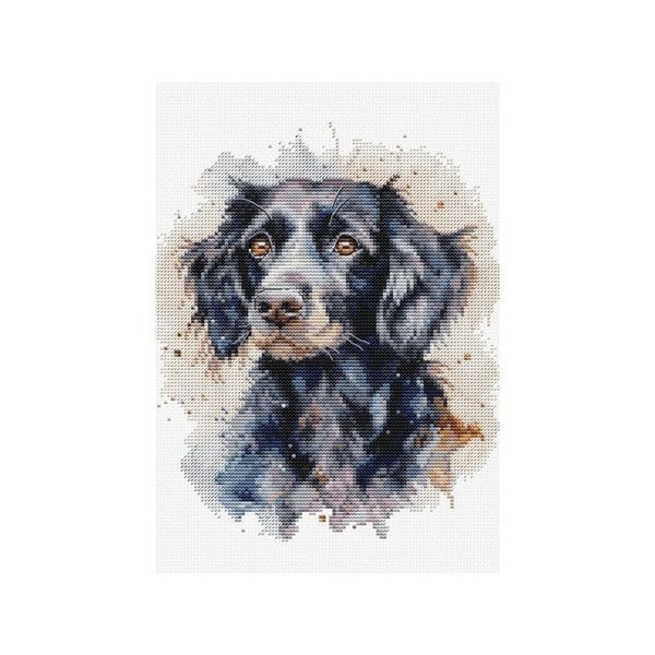 Luca-S Broderikit Border Collie