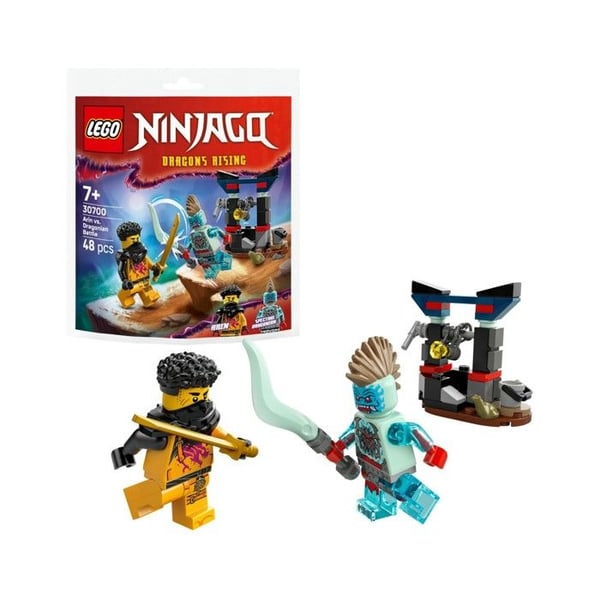 LEGO Ninjago Arins kamp mot Dragonian - 30700