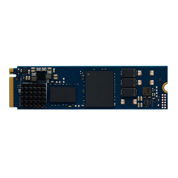 KINGSTON Namn: 960Go DC2000B P