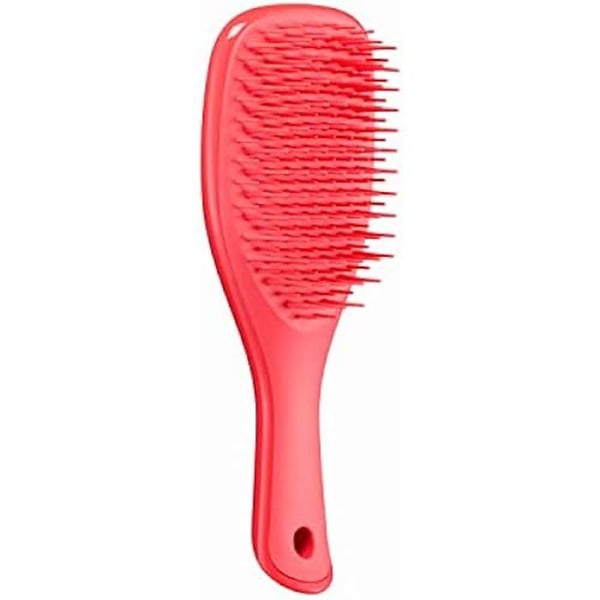 Tangle Teezer | Mini Wet Detangler Hårborste för Våt & Torrt Hår | Perfekt för Barn & Resor | Eliminerar Knutar & Minskar