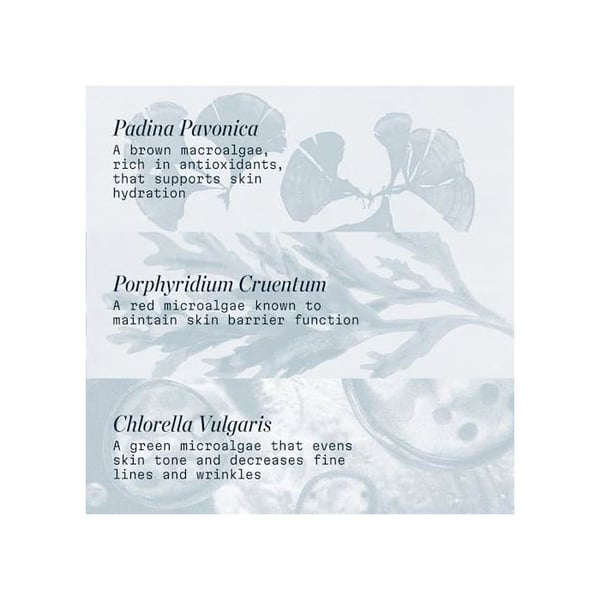 Anti-aging vård - ELEMIS - Pro-Collagen Marine Cream - Fuktgivande - Krämig konsistens - 50 ml