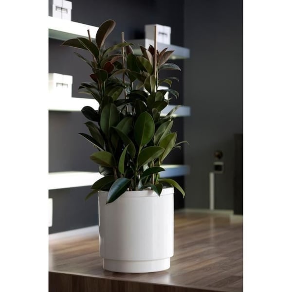Hidrojardinera vattenreserv blomkruka - PLASTIKEN - Ø26 cm - Antracitgrå