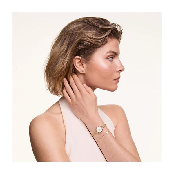 Armband kedja i stål Aquarius Crystal Zodiac DW00400941
