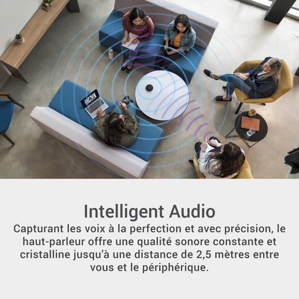 Kannettava Bluetooth-kaiutin - Dell - SL525 - AI Melunvaimennus - 12h Akunkesto - IP64