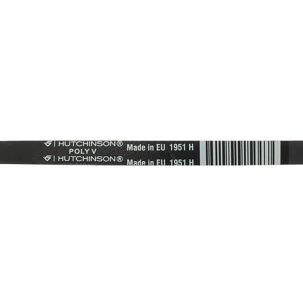 Rem 1951h7, 57x2351, 481235818156 - Torktumlare Brandt - Remmar