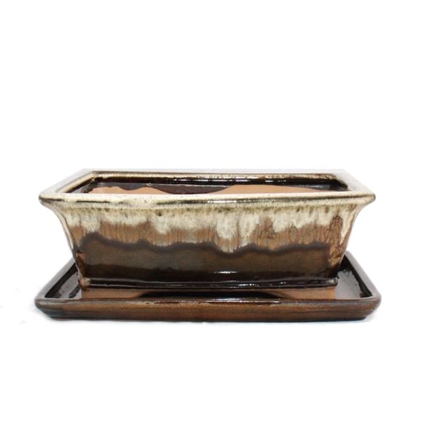 Bonsai-fat med underfat St. 4 brun/beige rektangulär Modell G93 L 25,5 cm B 20 cm H 9 cm