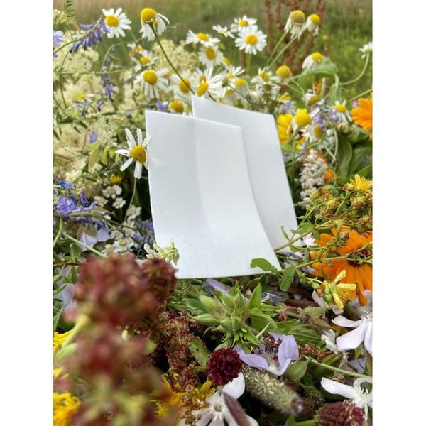 EcoHaus Papper att tvätta ängsblommor 60 st