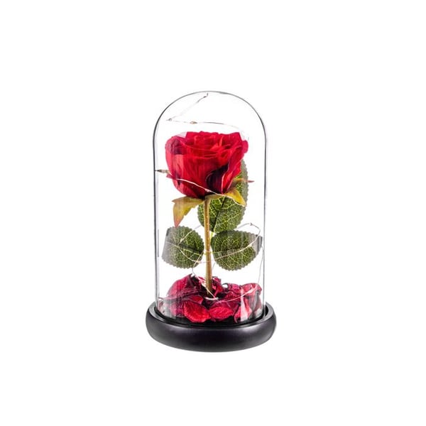 Coupe Cristal Rose Röd Eternell Leds 20 Cm Caison