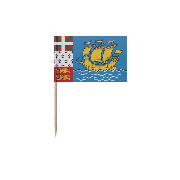 Tandpetare Saint-Pierre-et-Miquelon - 12 cm - 100 stycken - Plastisk adhesiv - Bambustick - Pixelforma