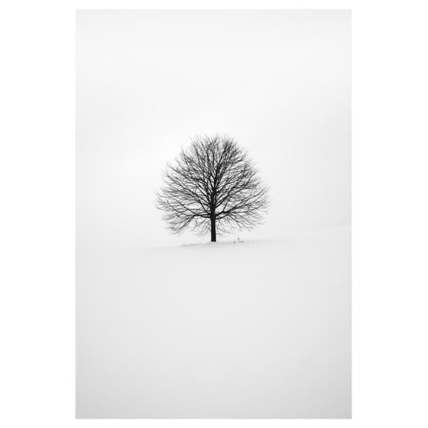 Legendarte - Målning, Tryck På Duk - Vit Vinter cm. 60x90