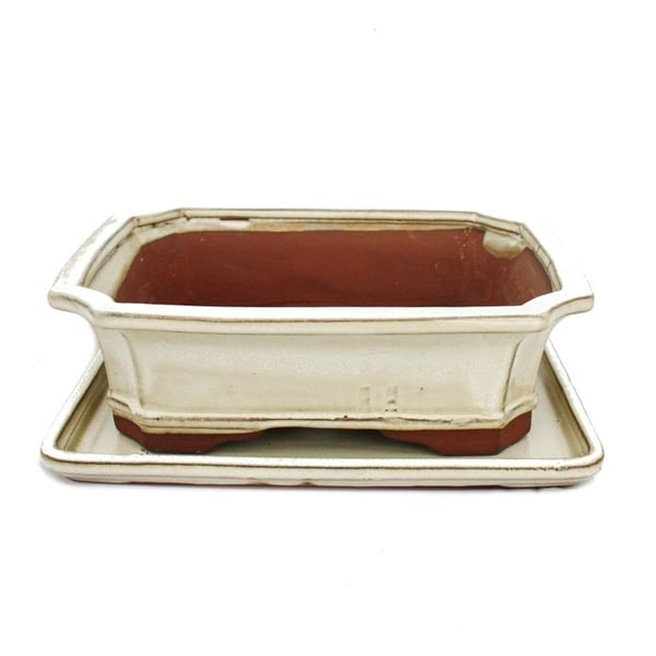 bonsai skål med fat storlek 4 - rektangulär g4 - ljus beige - l 26cm - b 20cm - h 8cm