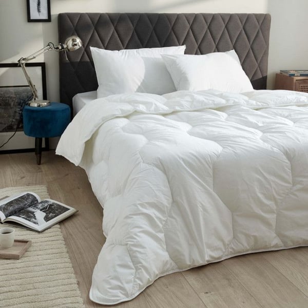 Lot om 2 kuddar 45 x 70 cm Blanrêve Serien "Confort" behandlad mot kvalster Soft & care