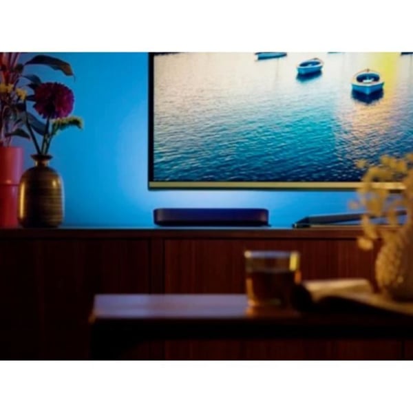 Philips Hue Hue Play lampe tilsluttet pakke med 2 - Sort