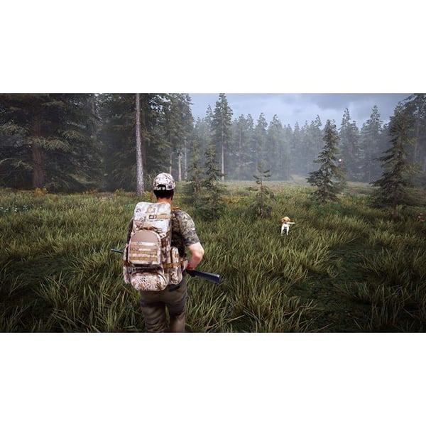 Spel PS4 - Nacon - Hunting Simulator 2 - Simulation - Flerspelarläge