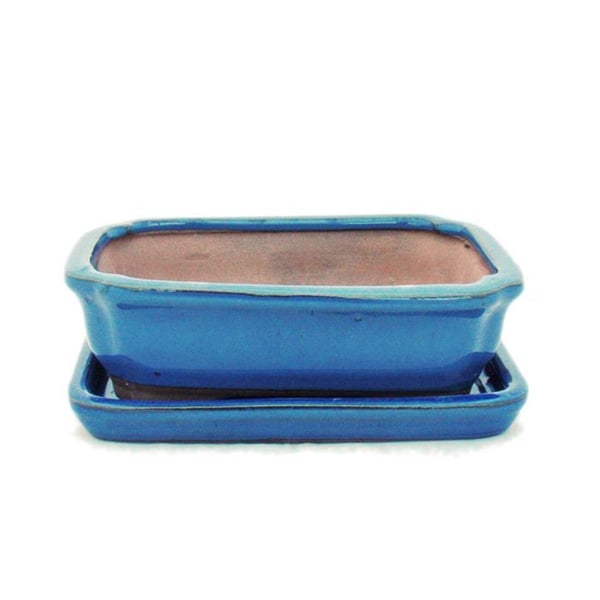 Bonsaiskål med fat Stl. 2 - Blå - fyrkantig - Modell G12 - L 15,5cm - B 11,5cm - H 4,5cm