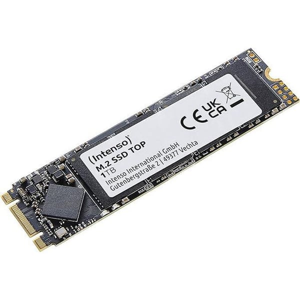 INTENSO - Topp - SSD - 1 To - M.2 - SATA III - 500 Mo/s