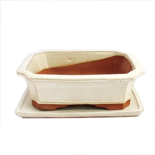 Bonsai-skål med underlägg st. 5 - ljusbeige - fyrkantig - modell G4 - L 31cm - B 23cm - H 9,5 cm