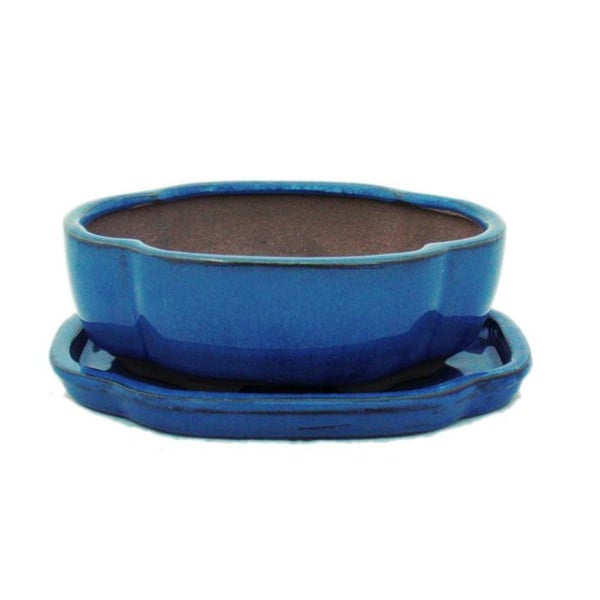 Bonsaiskål med fat St. 2 - Blå - haitang/oval - Modell I5 - L 14,5cm - B 12,5cm - H 5cm
