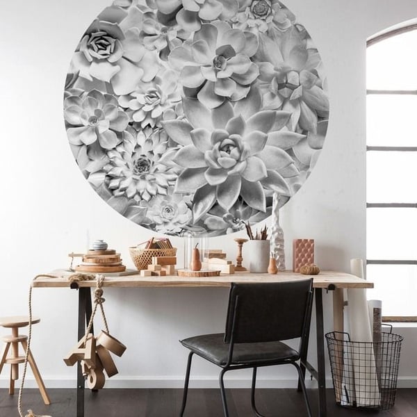 Komar Tapet digital Foto Non-vävd Disney Echeveria Fetväxt 125 x 125 cm Klistermärke