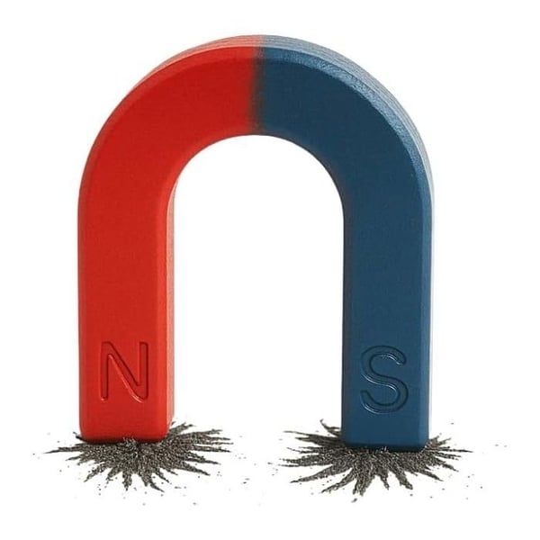 Magnet Bicolore i Form av U 5 cm Röd och Blå Klassisk Magnet för Spel eller Dekoration
