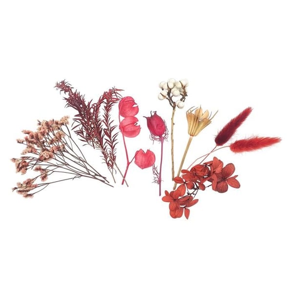 Torkade blommor - MÉGACRÉA DIY - Bordeaux - 10 stycken - H 13 cm - Inredning Torkade blommor - MÉGACRÉA DIY - Bordeaux - 10 stycken - H 13 cm - Inredning