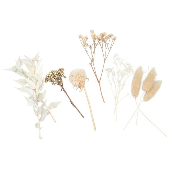 Torkade blommor - MÉGACRÉA DIY - 10 stycken - Vit - H upp till 13 cm - Inredning