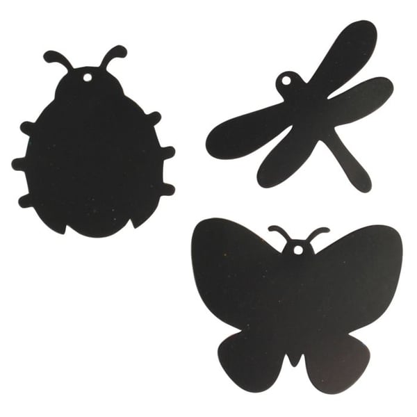 Utbildningsspel - Flerfärgad - Set med 6 skrapinsekter - 8 cm - Inkluderar: band och skrapa