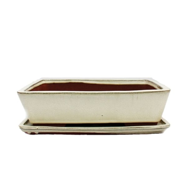 bol bonsai med fat storlek 5 - ljus beige - fyrkantig - modell g30 - l 31cm - b 23cm - h 8 cm