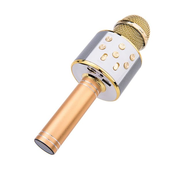 Bluetooth Karaoke-mikrofon - AVIZAR - Guld - Bluetooth 5.0 - Portabel - USB och micro-SD