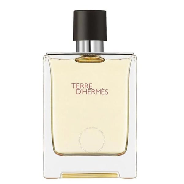 Hermès Terre D'hermès Eau de Toilette för män 100ml