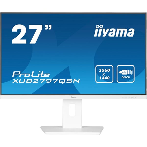 IIYAMA Namn: iiyama G-MASTER X