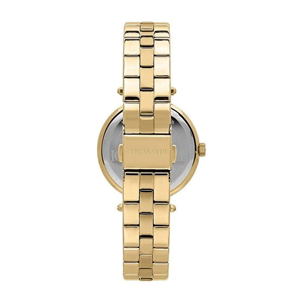 T-Shiny R2453145508