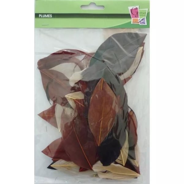 Avskurna gåspennor - KREATIV FRÖ - Chokladnyans - 10 gram - Längd 6 cm