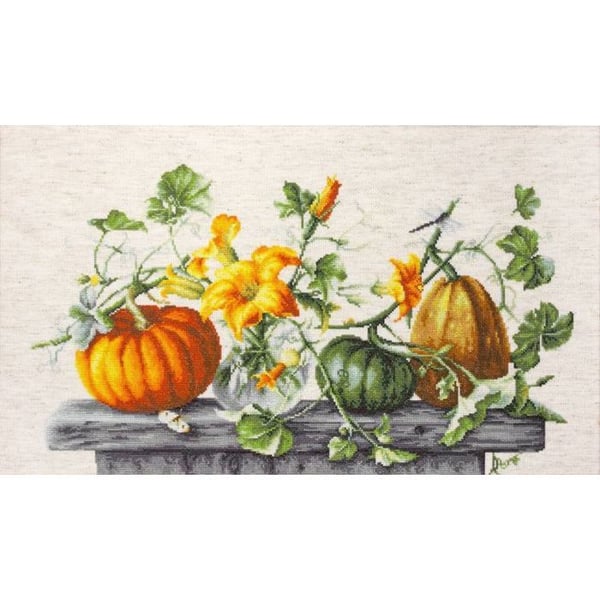 Korsstygnsset Luca-S - Pumpa 46.5x27 cm