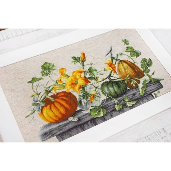 Korsstygnsset Luca-S - Pumpa 46.5x27 cm
