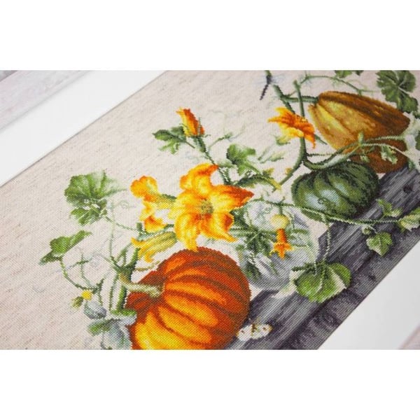 Korsstygnsset Luca-S - Pumpa 46.5x27 cm