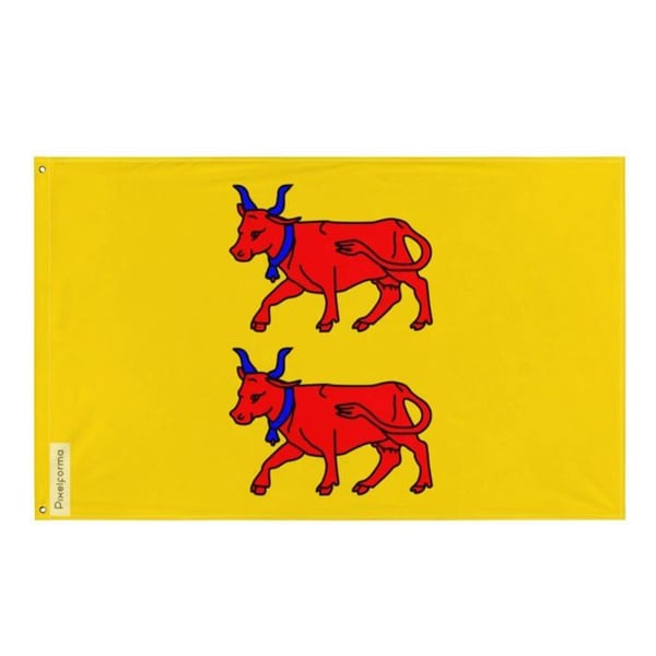 Flagga från Pyrénées-Atlantiques i öst – 120 x 180 cm – Polyester – Metallöglor – Hållbar
