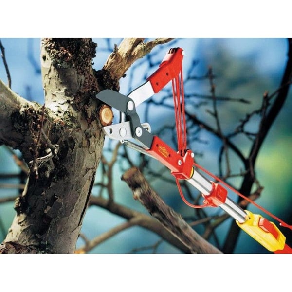 Sax - WOLF-Garten - RC-M 71ACA004650 - Hög kvalitet - Precision klippning - Idealisk för grenar