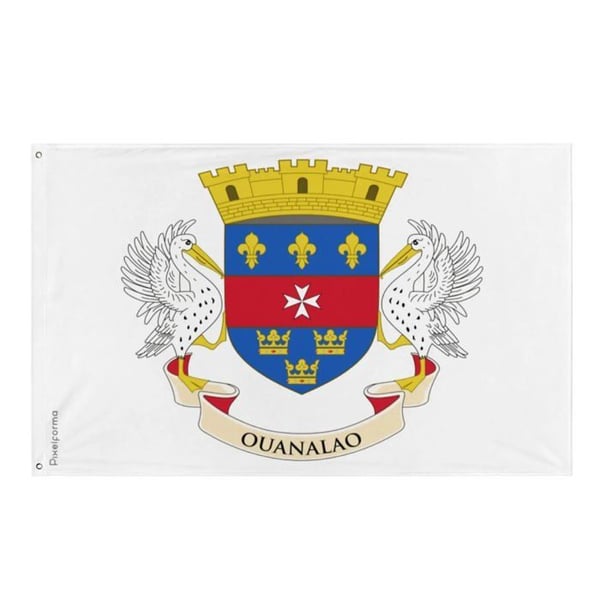 Saint-Barthélemy flagga – 60 x 90 cm – Hållbar polyester – 2 metallöljett – Inomhus / Utomhus – Pixelforma